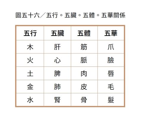 疾惡宮|《紫微攻略・紫微斗數新手村》：「疾厄宮」是古人用。